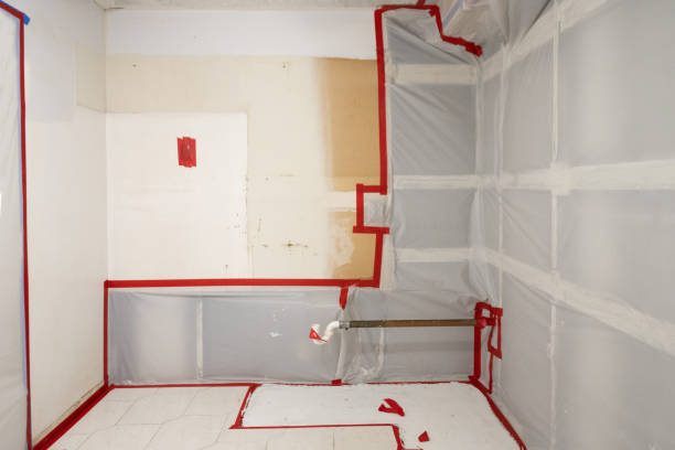 Best HVAC Mold Inspection and Cleaning  in Dundee, FL