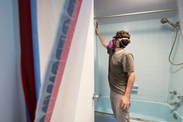 Mold Removal for HVAC Installations in Dundee, FL