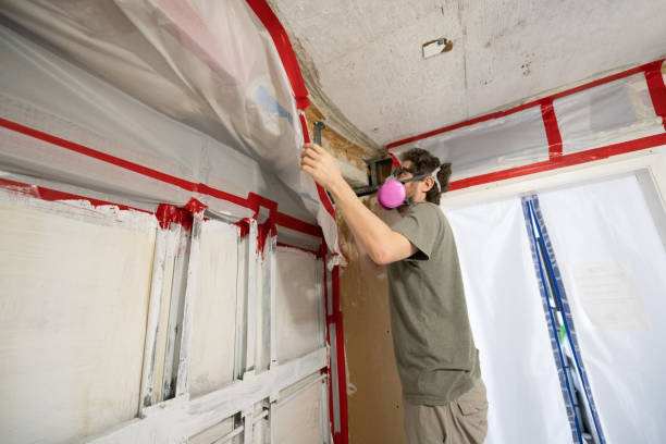 Best Mold Removal for HVAC Installations  in Dundee, FL