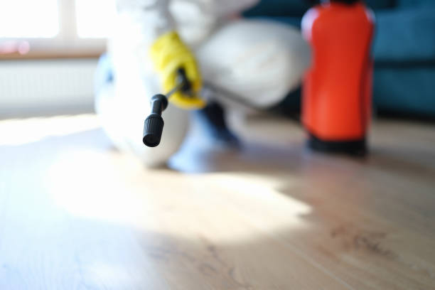 Best Residential Mold Inspection & Testing  in Dundee, FL