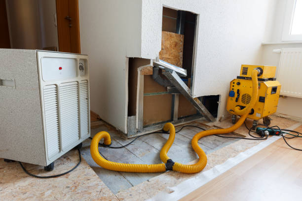 Mold Remediation for Rental Properties in Dundee, FL